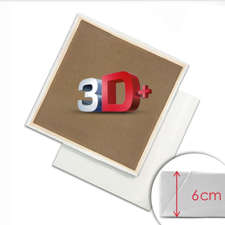 3D  Τελαρωμένος καμβάς PROFI | Περισσότερες διαστάσεις