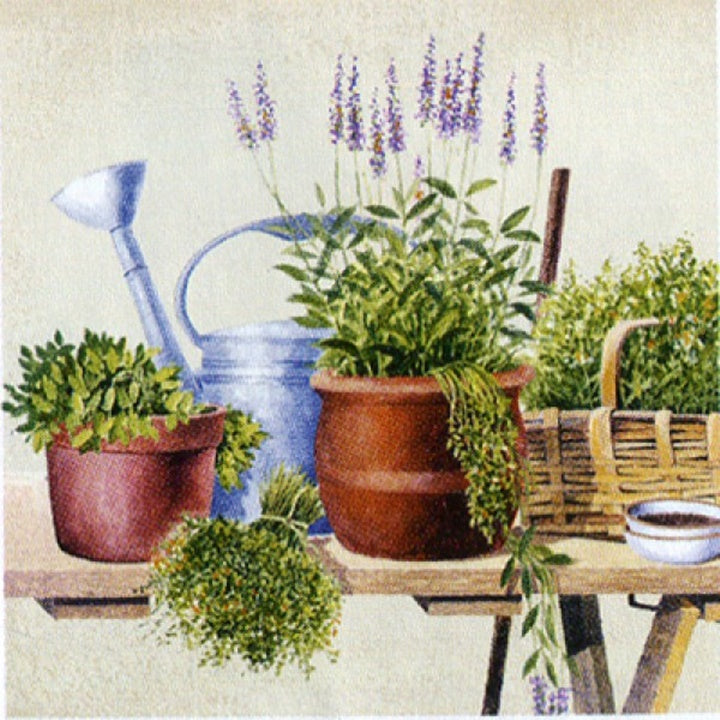 Χαρτοπετσέτες για ντεκουπάζ Potting Herbs - 1τεμάχιο