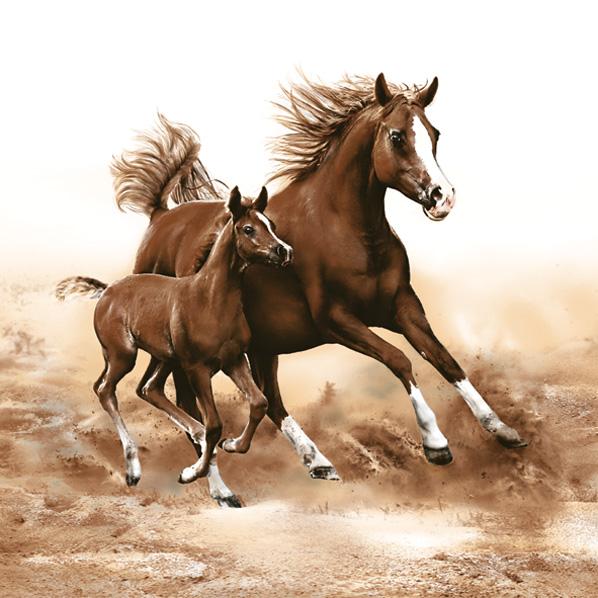Χαρτοπετσέτες για ντεκουπάζ Horses - 1 τεμάχιο
