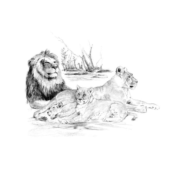 Σετ σχεδιου Royal & Langnickel - διαφορα – Levy