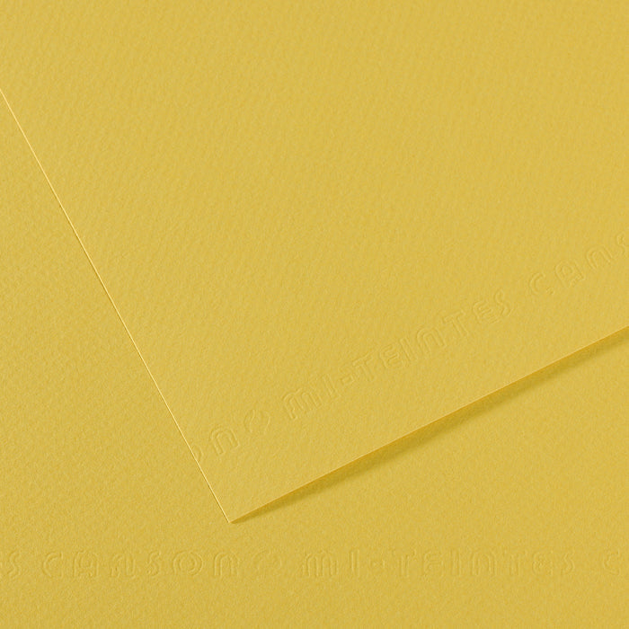 Canson Mi-Teintes χαρτί για παστέλ 50 x 65 cm 160 g 25H – Γλυκάνισος