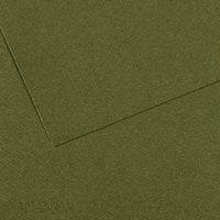 Canson Mi-Teintes χαρτί για παστέλ 50 x 65 cm 160 g 25H – Κισσός 448