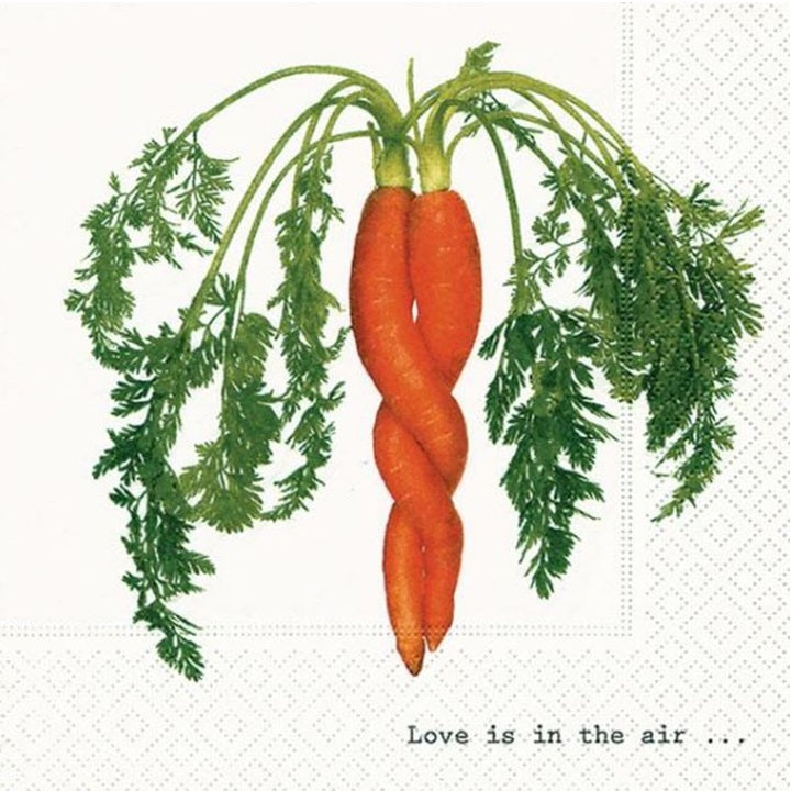 Χαροτοπετσετες για ντεκουπάζ Intertwined Carrot- 1 τεμ