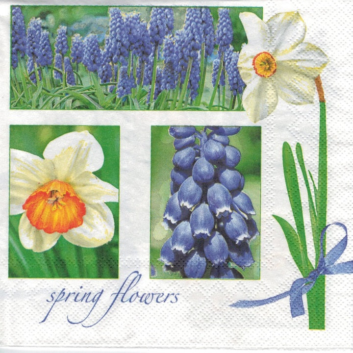 Χαροτοπετσετες για ντεκουπάζ Muscari & Narcissus - 1 τεμ