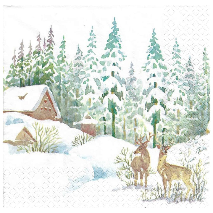 Χαροτοπετσετες για ΝΤΕΚΟΥΠΑΖ - Winter Scene - 1 τεμ