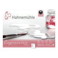 Χαρτί ακουαρέλας Hahnemühle Expression | Διάφορα μεγέθη