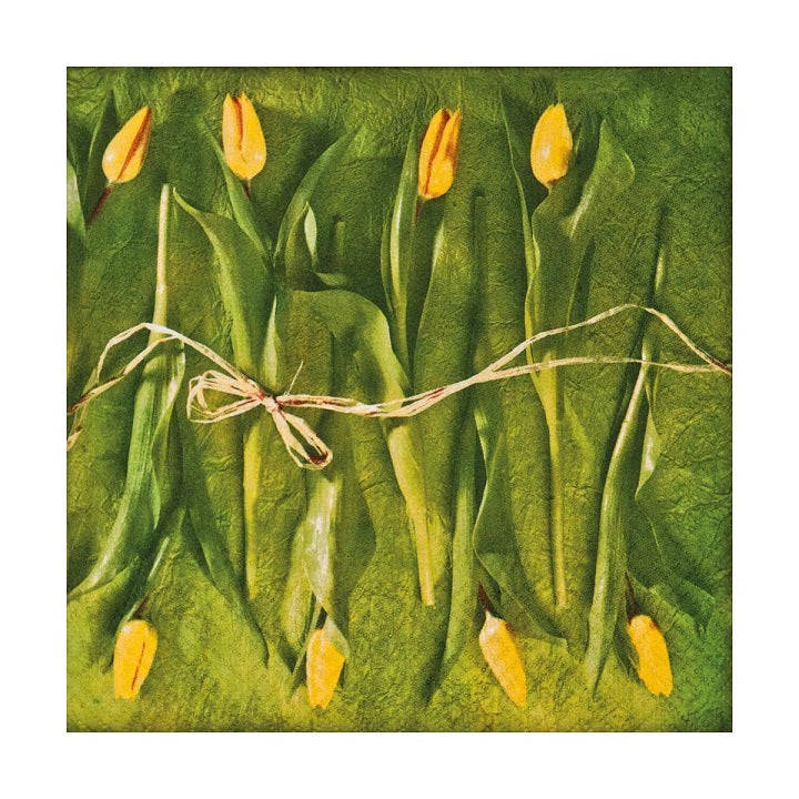 Χαρτοπετσέτες για ντεκουπάζ Fresh Tulips - 1 τεμάχιο
