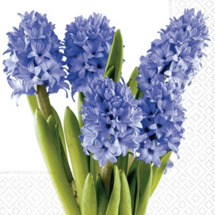 Χαρτοπετσέτες για ντεκουπάζ Hyacinths - 1 τεμάχιο