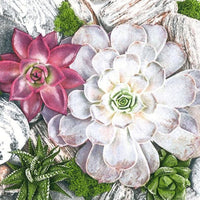 Χαρτοπετσέτες για ντεκουπάζ Succulent Plants and Stones Composition - 1 τεμάχιο