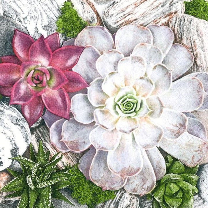 Χαρτοπετσέτες για ντεκουπάζ Succulent Plants and Stones Composition - 1 τεμάχιο