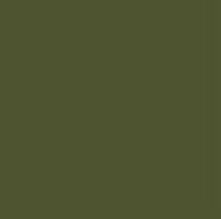 Pentart Chalky Διακοσμητικό χρώμα – 29338 - Αγκάθι