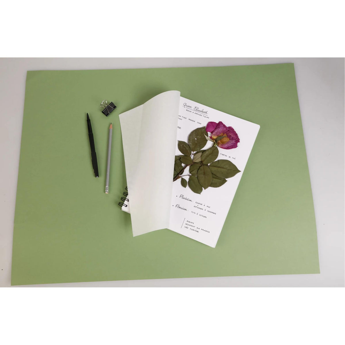 Φυτολόγιο CLAIREFONTAINE 180 g/m² 21 x 21 cm - 32 φύλλα