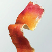 Golden Textile and Fabric Stiffener 237 ml