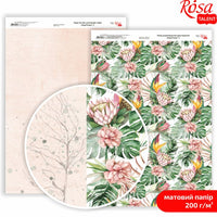 King Protea A4 χαρτιά scrapbooking | Διάφορα σχέδια