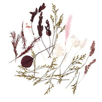 Μίνι αποξηραμένο μπουκέτο "Burgundy Queen" / 20 cm