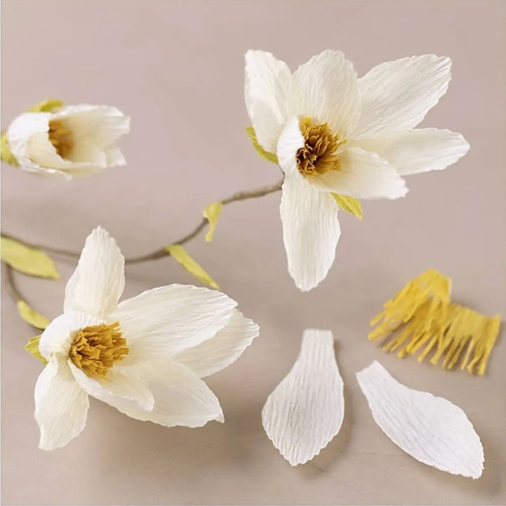 Μίνι δημιουργικό σετ | Χαρτί Crepe Magnolia Twig