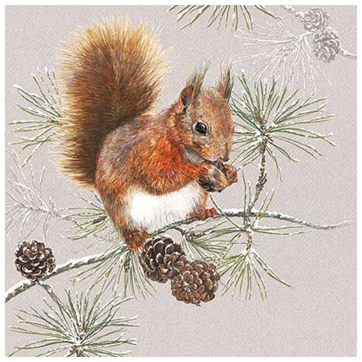 Οικολογικές χαρτοπετσέτες για ντεκουπάζ Squirrel in Winter - 1 τεμάχιο