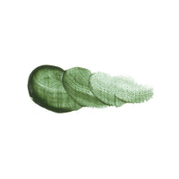 Λαδομπογιές Vernet - Holbein 20 ml – 031 Terre Verte