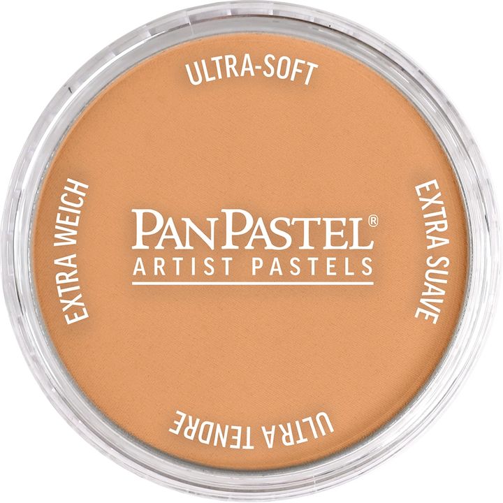 PanPastel Μεταλλικό ξηρό παστέλ 9 ml | Διάφορες αποχρώσεις