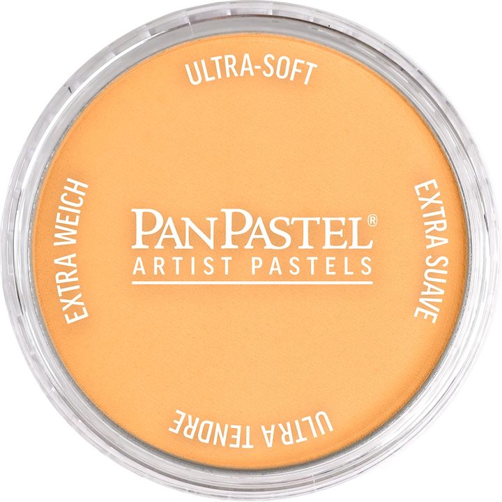 PanPastel Pearl Dry Pastel 9 ml | Διάφορες αποχρώσεις