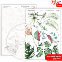King Protea A4 χαρτιά scrapbooking – αριθ. 7