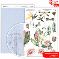 King Protea A4 χαρτιά scrapbooking – αριθ. 8