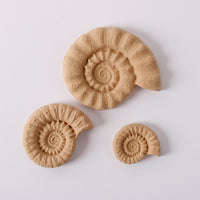Pentart Elastic wood Shell set κοχύλια 6,5 x 5,5 cm 3 τμχ