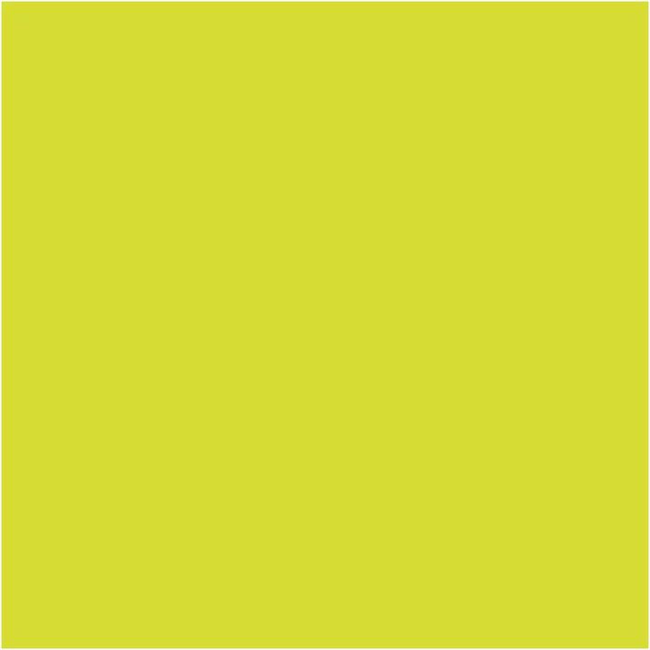 Pentart Glow-in-the-Dark Contour Paint 20 ml | Διάφορες αποχρώσεις
