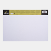 Μπλοκ σχεδίου ROYAL TALENS Rembrandt Toned Industrial Grey 180 g - 50 φύλλα, A3