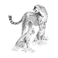 Σετ σχεδιου Royal & Langnickel - διαφορα – Gepard