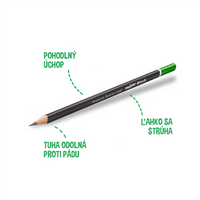 Τριγωνικό μολύβι Carioca Black, 12 τμχ